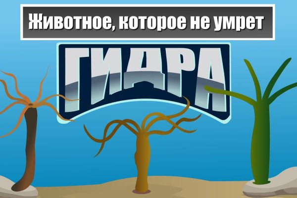 Актуальные ссылки кракен на 2025
