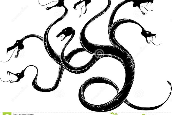 Kraken forum